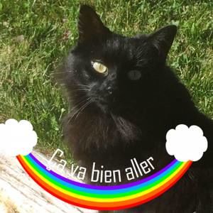 Meet your Posher, Andrée